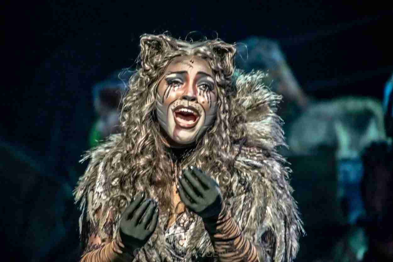 Snap Scene: Cats Media Call, Hamer Hall, 23rd Dec 2025 by Mary Boukouvalas