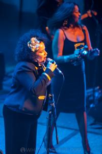 The Black Sorrows with Vika & Linda Bull