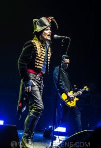 Adam Ant 