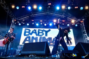 Baby Animals at By the C, Catani Gardens, Melbourne 14th March 2021 by Paul Miles (1 of 46)