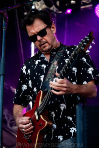 Baby Animals at By the C, Catani Gardens, Melbourne 14th March 2021 by Paul Miles (23 of 46)
