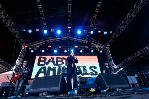Baby Animals at By the C, Catani Gardens, Melbourne 14th March 2021 by Paul Miles (2 of 46)