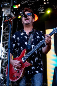 Baby Animals at By the C, Catani Gardens, Melbourne 14th March 2021 by Paul Miles (40 of 46)