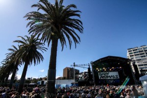Baby Animals at By the C, Catani Gardens, Melbourne 14th March 2021 by Paul Miles (43 of 46)