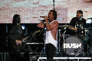 Bush-UTSS-Hastings-Foreshore-Mornington-12th-March-2022-by-Paul-Miles-32-of-48