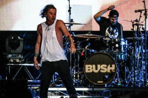 Bush-UTSS-Hastings-Foreshore-Mornington-12th-March-2022-by-Paul-Miles-33-of-48