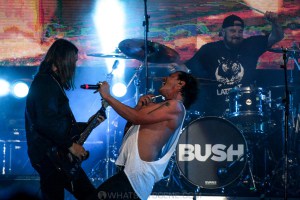 Bush-UTSS-Hastings-Foreshore-Mornington-12th-March-2022-by-Paul-Miles-36-of-48