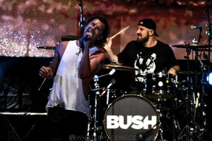 Bush-UTSS-Hastings-Foreshore-Mornington-12th-March-2022-by-Paul-Miles-38-of-48