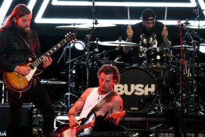 Bush-UTSS-Hastings-Foreshore-Mornington-12th-March-2022-by-Paul-Miles-41-of-48