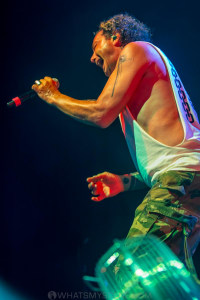 Bush-Under-the-Southern-Stars-Big-Top-Luna-Park-23rd-March-2022-by-Mandy-Hall-23-of-30