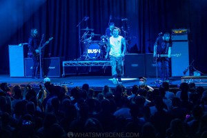 Bush-Under-the-Southern-Stars-Big-Top-Luna-Park-23rd-March-2022-by-Mandy-Hall-27-of-30