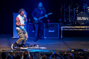 Bush-Under-the-Southern-Stars-Big-Top-Luna-Park-23rd-March-2022-by-Mandy-Hall-29-of-30