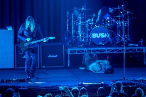 Bush-Under-the-Southern-Stars-Big-Top-Luna-Park-23rd-March-2022-by-Mandy-Hall-30-of-30