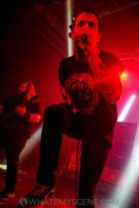 Cancer Bats