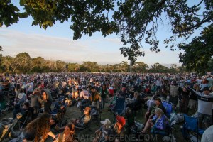 The Cat Empire, SummerSalt at The Briars, Mornington 20th February 2021 by Paul Miles (37 of 38)