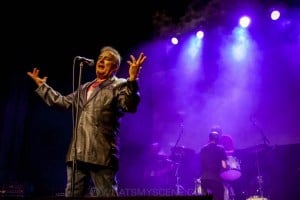 Celibate Rifles - Damo the Musical, Enmore Theatre 22nd September 2019 by Mandy Hall (17 of 56)