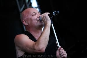 Chocolate Starfish - Bendigo Racecourse, Melbourne 23rd Feb 2019 by Paul Miles (27 of 34)