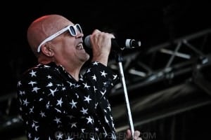 Chocolate Starfish - Bendigo Racecourse, Melbourne 23rd Feb 2019 by Paul Miles (7 of 34)