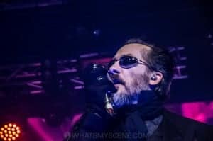 The Damned