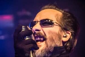 The Damned