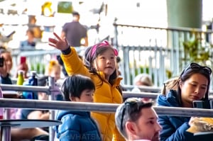 Dan Sultan & Justine Clarke - Kids At The Bowl, Sidney Myer Music Bowl, 6th March 2021 by Mary Boukouvalas (32 of 48)