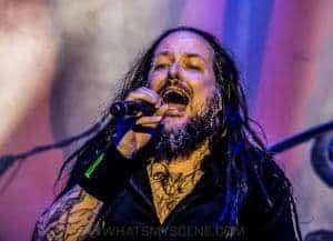 Korn   