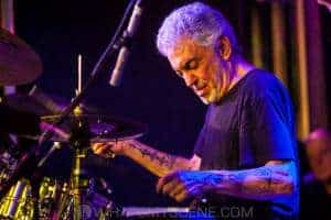 Steve Gadd