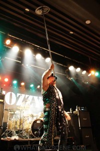Fozzy