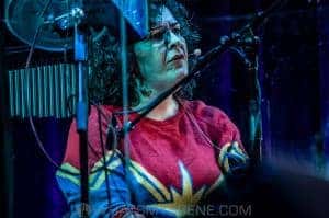 The Magnetic Fields  