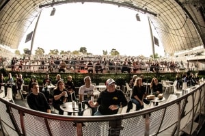 The Meanies, Myer Music Bowl - 1st Feb 2021 by Mary Boukouvalas (1 of 29)