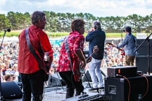 Mental As Anything - By The C - Leura Park Estate 9th Feb 2019 by Mandy Hall (15 of 24)