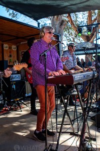 Mental As Anything, Railway Hotel, Murchison East, 17th November 2019 by Mandy Hall (22 of 38)