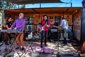 Mental As Anything, Railway Hotel, Murchison East, 17th November 2019 by Mandy Hall (25 of 38)