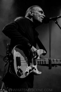 Mr. Big