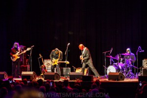 Nick Lowe & Los Straightjackets, The Forum, 18th Feb 2020 by Mandy Hall (40 of 46)