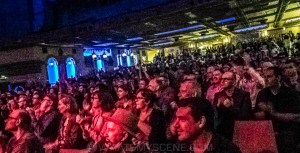 Nick Lowe & Los Straightjackets, The Forum, 18th Feb 2020 by Mary Boukouvalas (33 of 44)