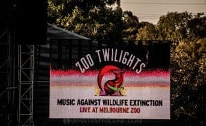 Zoo Twilights  