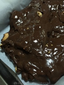 Salted Cashew and Apricot fudge