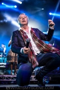 Simple Minds