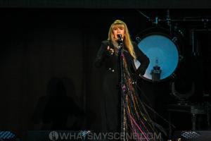 Stevie Nicks