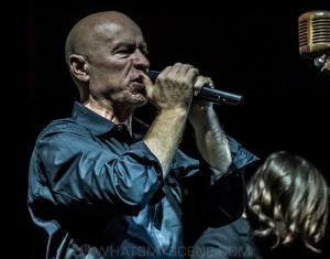 THE THE - Melbourne International Arts Festival