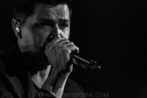 The Script