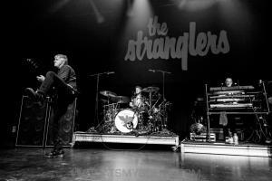 The Stranglers