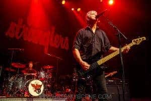The Stranglers