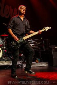 The Stranglers