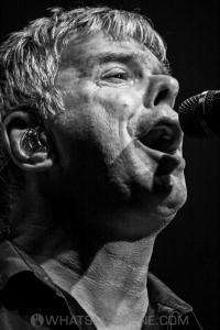 The Stranglers