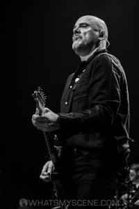 The Stranglers