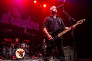 The Stranglers