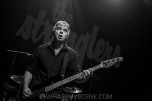 The Stranglers
