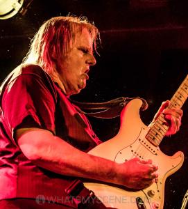 Walter Trout 